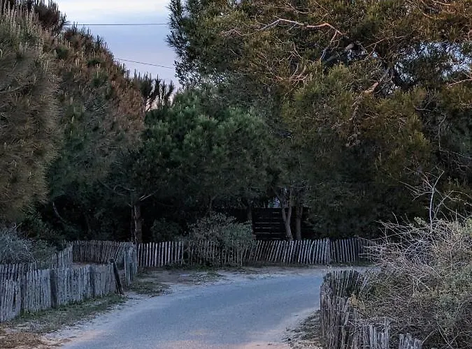 L'instant - Vue - Bord De - La Capte - Cote D'azur Lejlighed Hyères