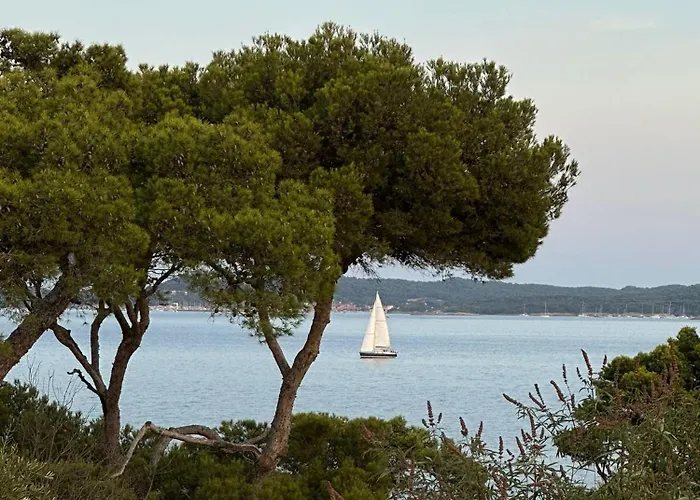 L'instant - Vue - Bord De - La Capte - Cote D'azur